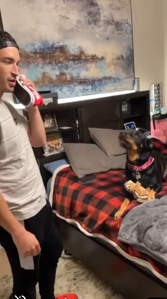 Ke� sa pred psom za�nete tv�ri�, �e vol�te veterin�rovi